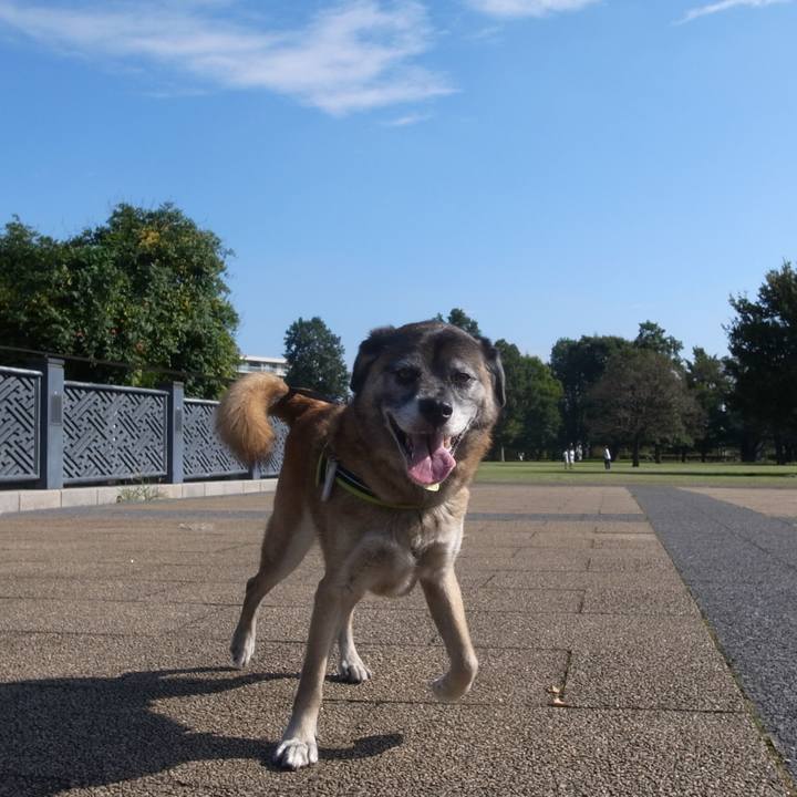 A68925ba 3647 4c1e 88ae 6d8218fd3b8f 1590195000379