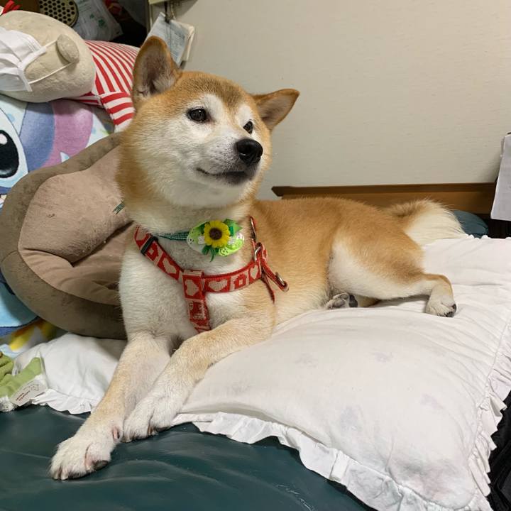 A68965f1 198c 40da ba57 8b9263ca2b09 1628332317920