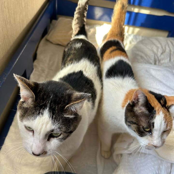 A6897d52 465f 4cb0 92e4 40febb33c17d 1713525296359