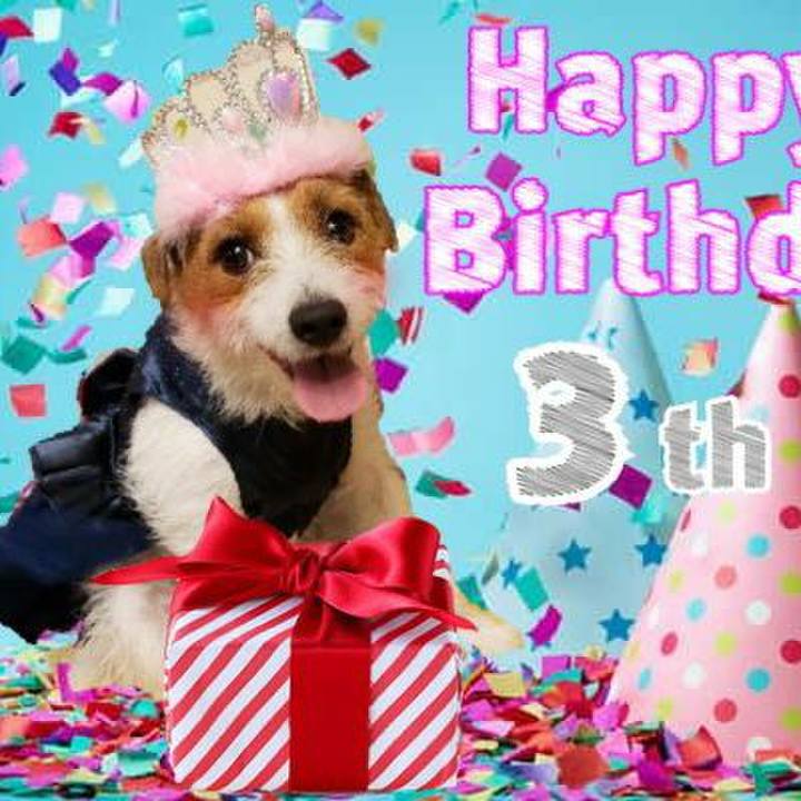 A689b7d5 6a5a 4329 bb37 b202d050e724 1572352905159