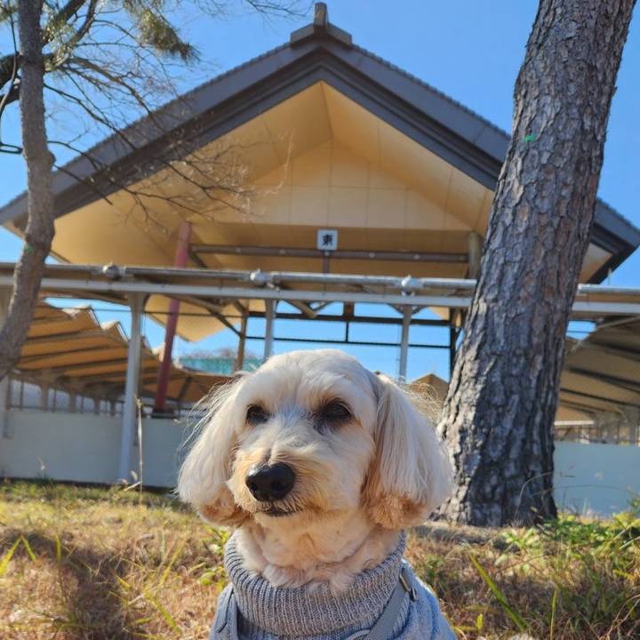 A689c8af 109f 486d 8c4a 76db1c726314 1766984777832