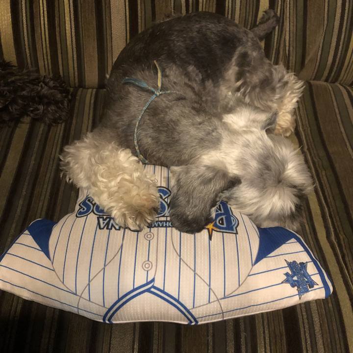 A689e61e bb26 46a1 9df2 4934add2f475 1563962586429