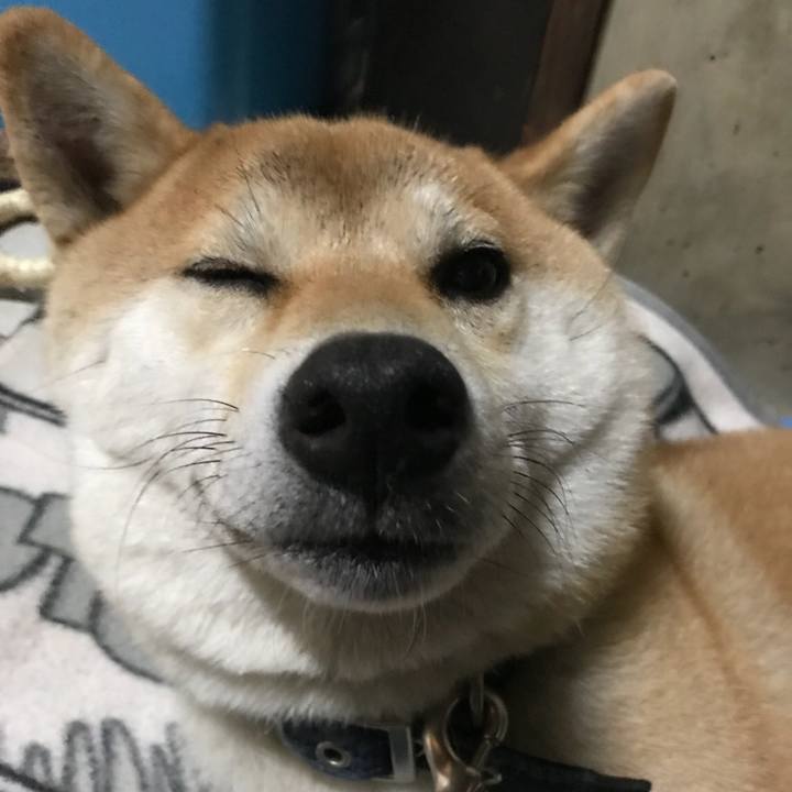 A68a0e09 c351 413e 98e1 61a0a20c2fd8 1508938810396