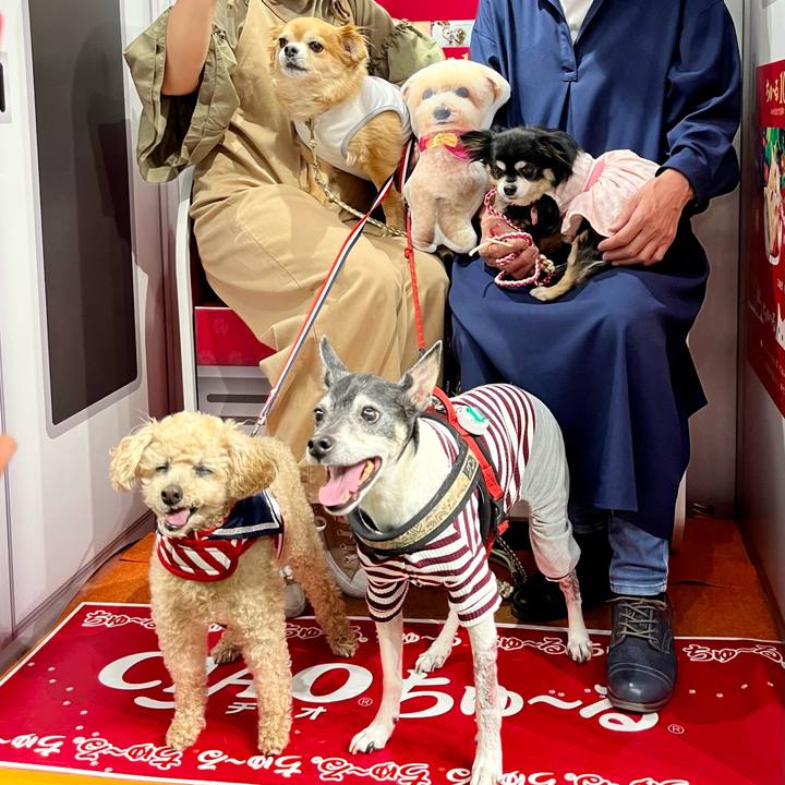 A68a2c54 f712 40e2 9e6d c8774f674c27 1651661525808