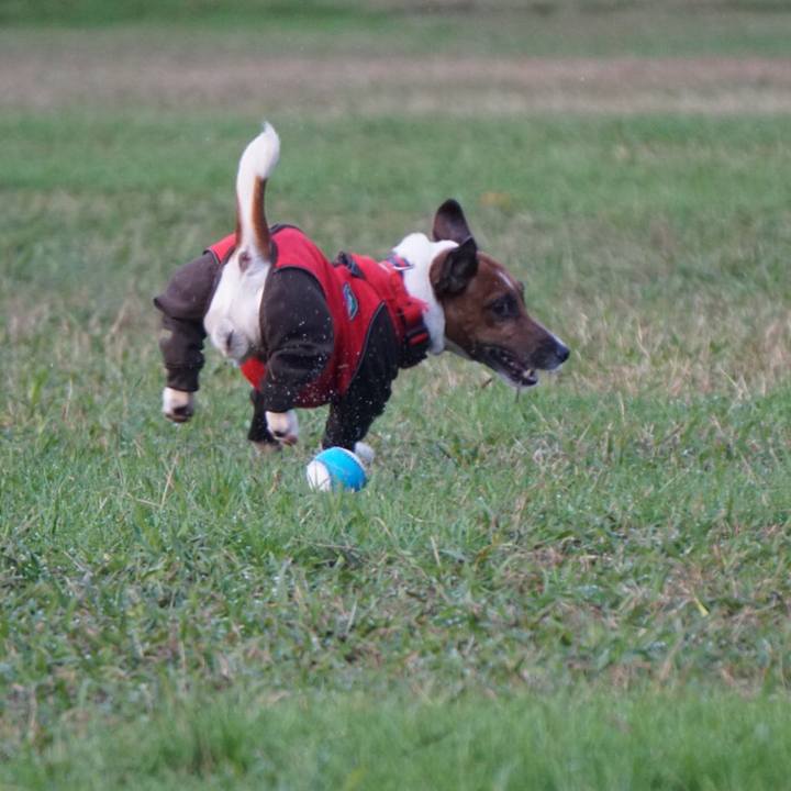 A68a6e3d 3751 47e7 ae8d d93441d39924 1542840919152