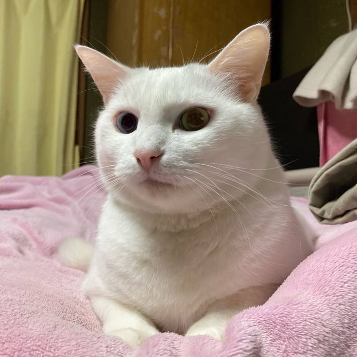 A68aac55 827d 484d b32d 8dac9486a2c7 1764542813987