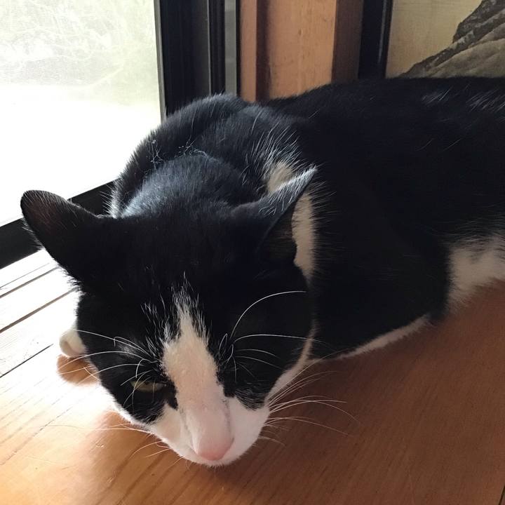 A68ab187 c17b 464a 8974 00bc51514fca 1751982575923