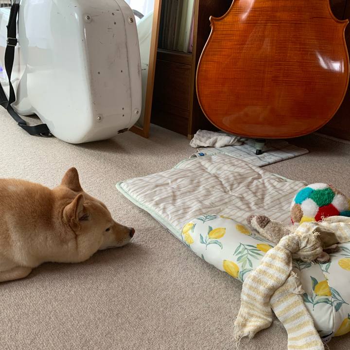 A68ad759 eecc 4c9c 934d 061ff11d6b16 1625701090471