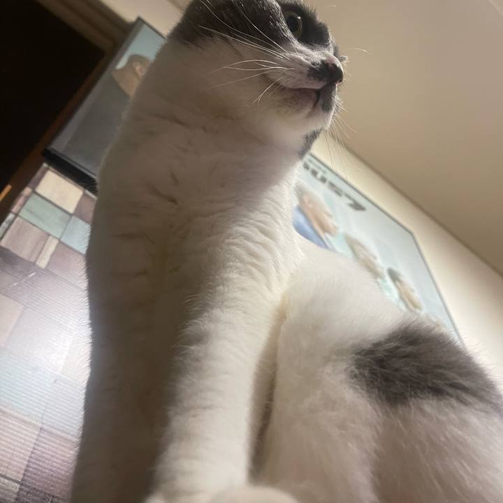 A68b0421 7c52 4bb2 b959 f300e8bf574f 1749729466958