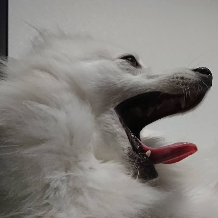 A68b17cd 7eca 4857 99d1 d33eb08cdc5f 1567781532144