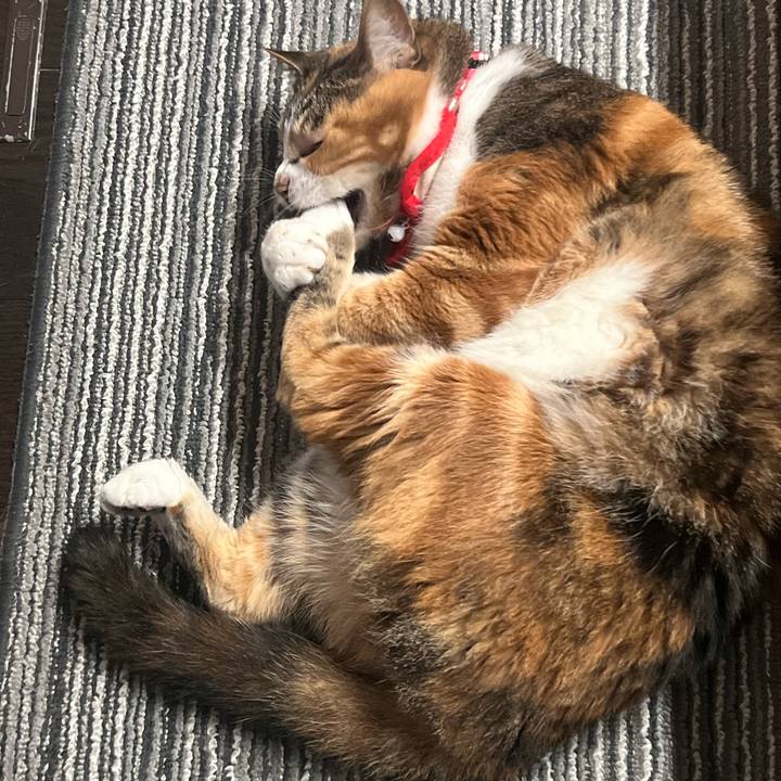 A68b67dc d282 4e64 8244 131c89e44dfb 1759048328062