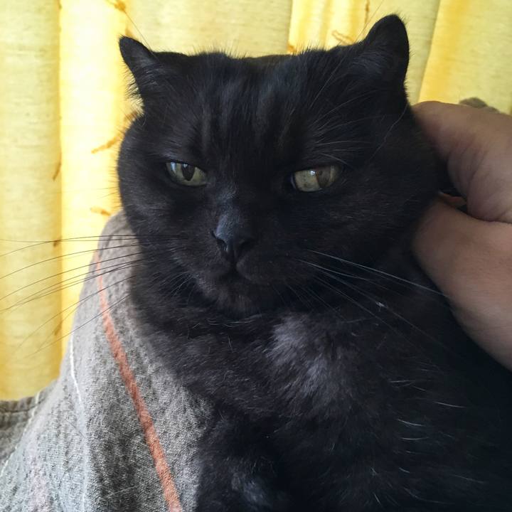 A68b8942 a112 4372 9470 622714e42f84 1536626000651