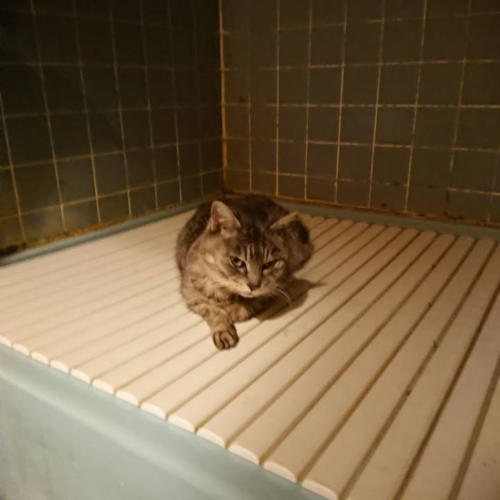 A68bb4bf b52e 4f35 9b79 1ca2d2ae8323 1583837618502