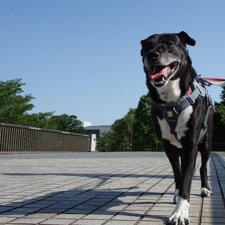 A68bcac4 5363 47ae 937b 0128f5547147 1715907481857