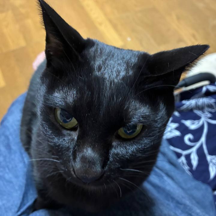 A68bddf2 873a 41b6 9d7f 981b8362e15d 1760694099576