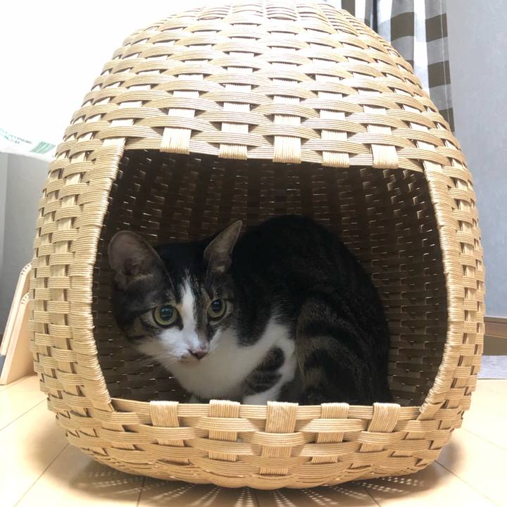 A68bfd49 e046 46a9 a3e5 8f88d2ea09d3 1631860472222