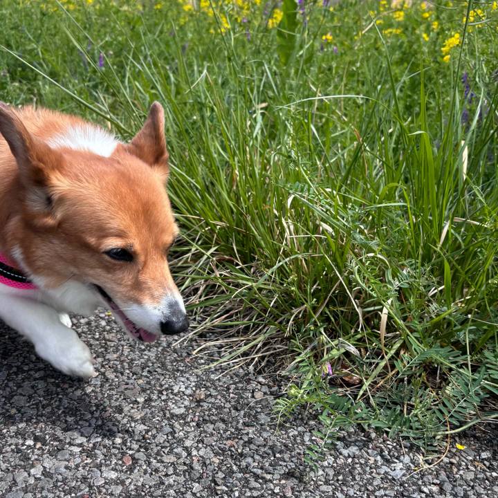 A68c0d14 619d 4fab 961e c78fb01becec 1744681832975