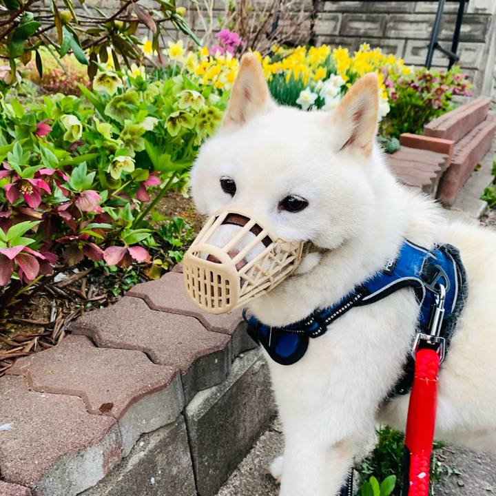 A68c322b bea5 4e14 b68c 16234c49f6b3 1651868734585