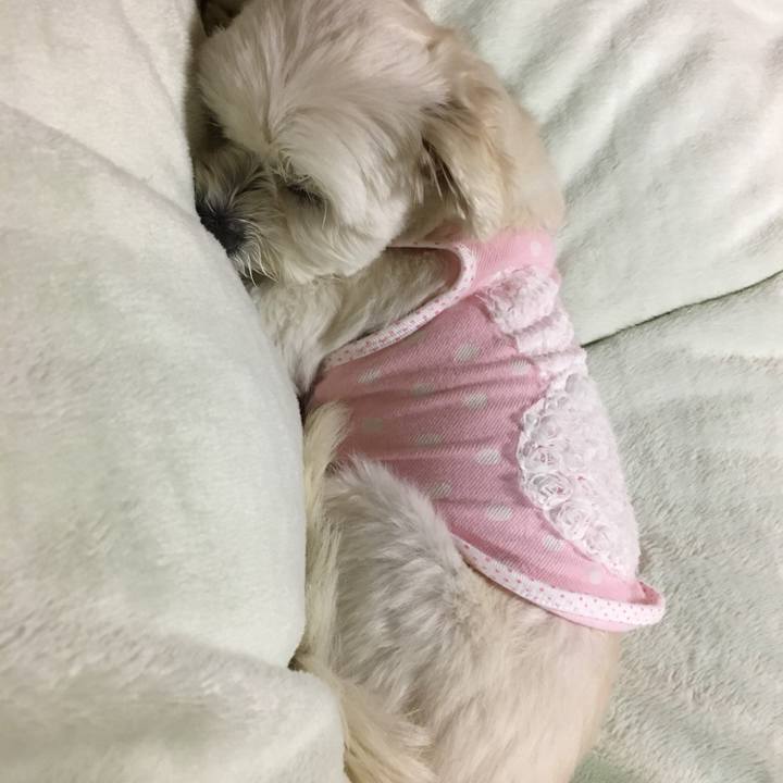 A68c4741 c0ac 4c62 a33d 41a850ca7f13 1523270116198