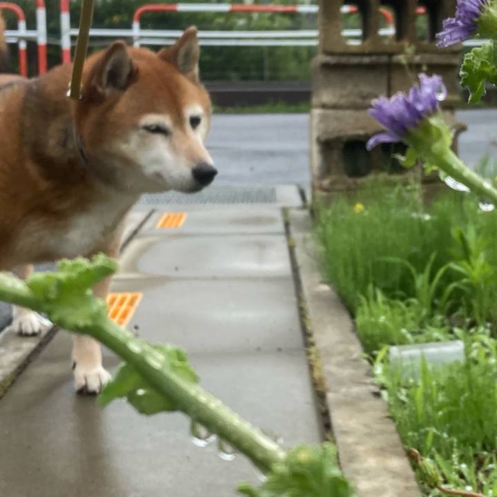 A68c801b 1ac8 47b7 83bf 85571cf6c57b 1653958870125