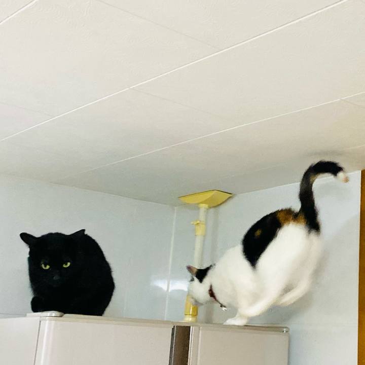 A68cb8c1 164b 40fe a9e9 37ef6dfafb91 1683984343364