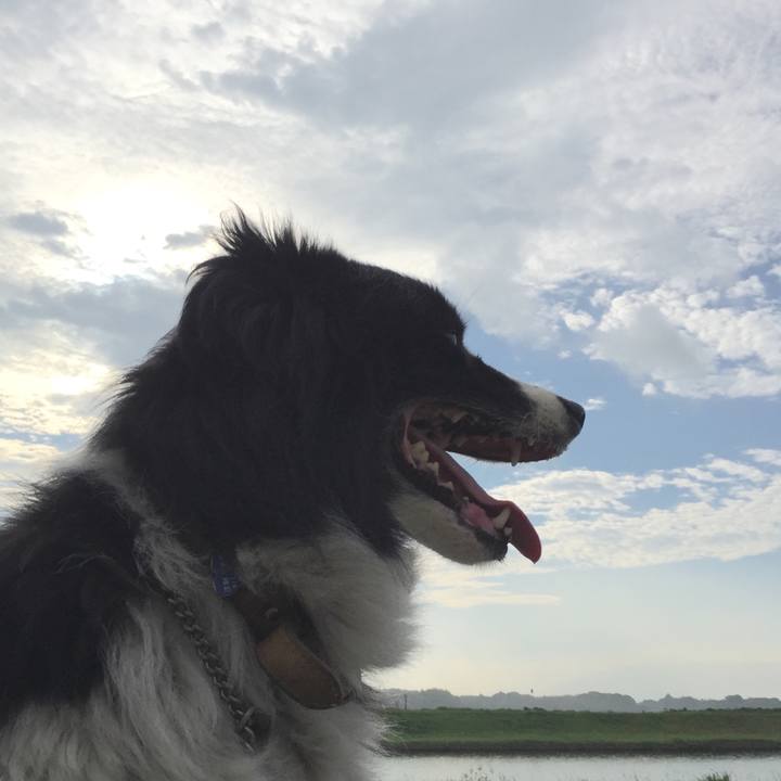 A68cd953 7cd4 4bf4 bf35 23c6478f0f4c 1535150832341