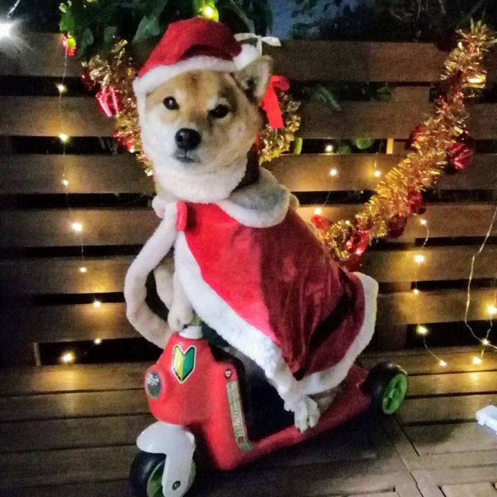 A68d49f9 3493 4a16 94e9 35f63fa24a96 1608813462098