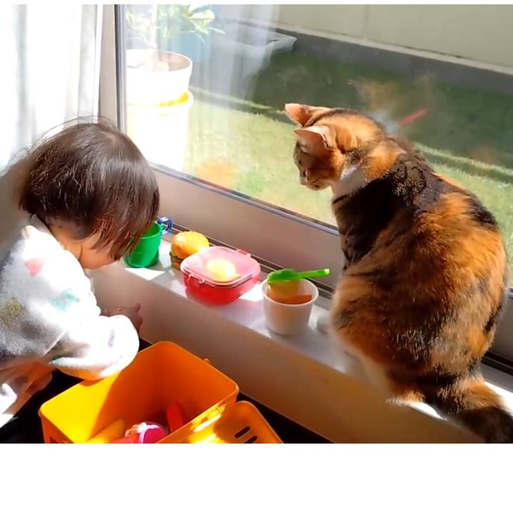 A68d4c46 0346 4a19 9694 3a10031b591b 1712921423644