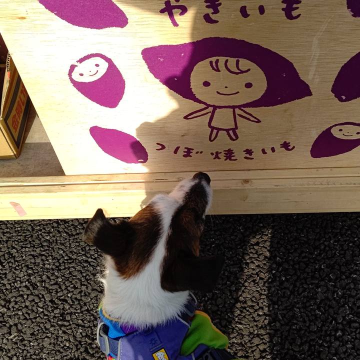 A68d704a 344a 44f1 aa04 6ab292c2379c 1646471179174