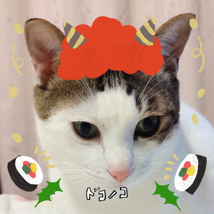 A68defe6 038c 4561 bc87 a99e0d3b0a16 1706823450361