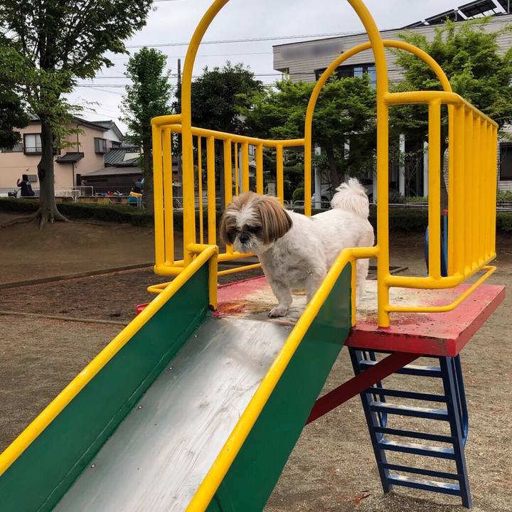 A68e4a21 2f23 4eb4 8d13 8b3890bb5f30 1556162558329