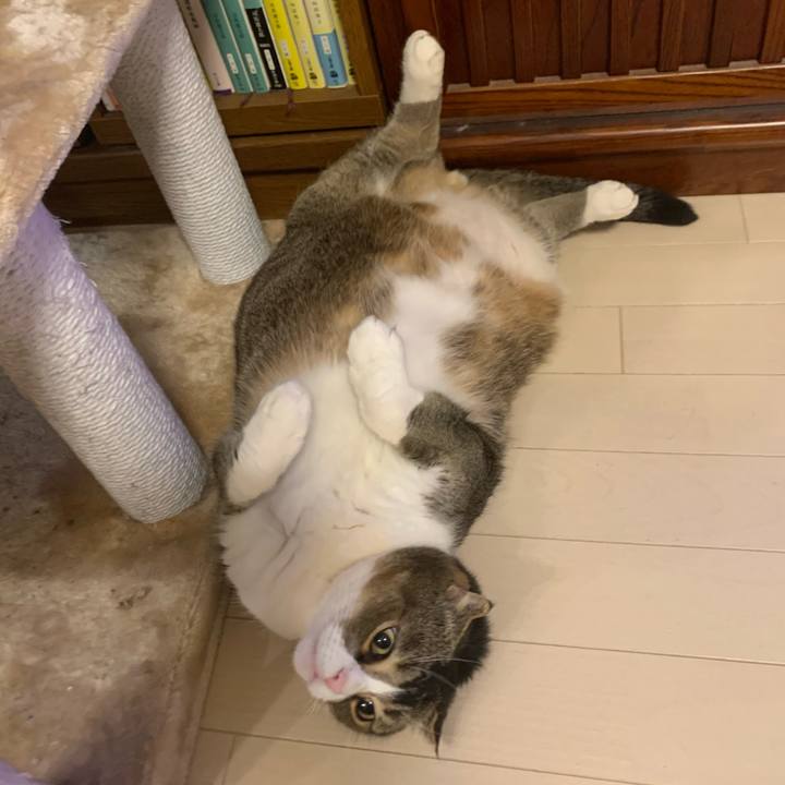 A68e7626 f98b 40c0 8af5 5e99212882d8 1609436743588