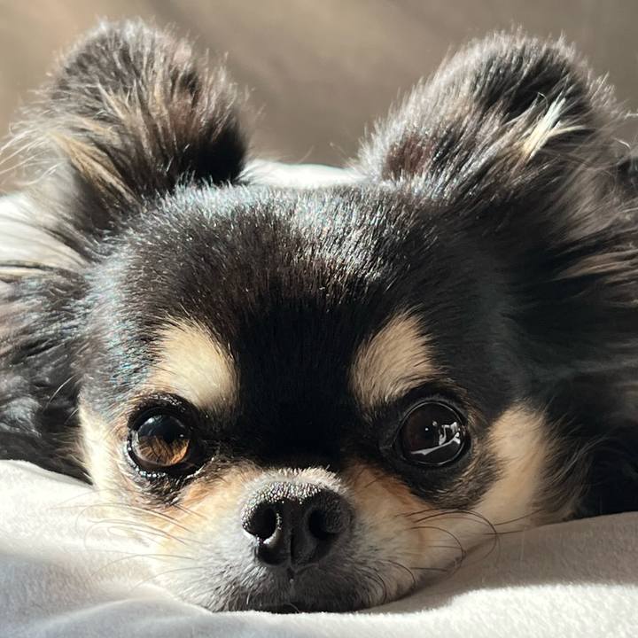 A68ee049 4d9a 4e3f bf87 f1cd133aa239 1673744216276