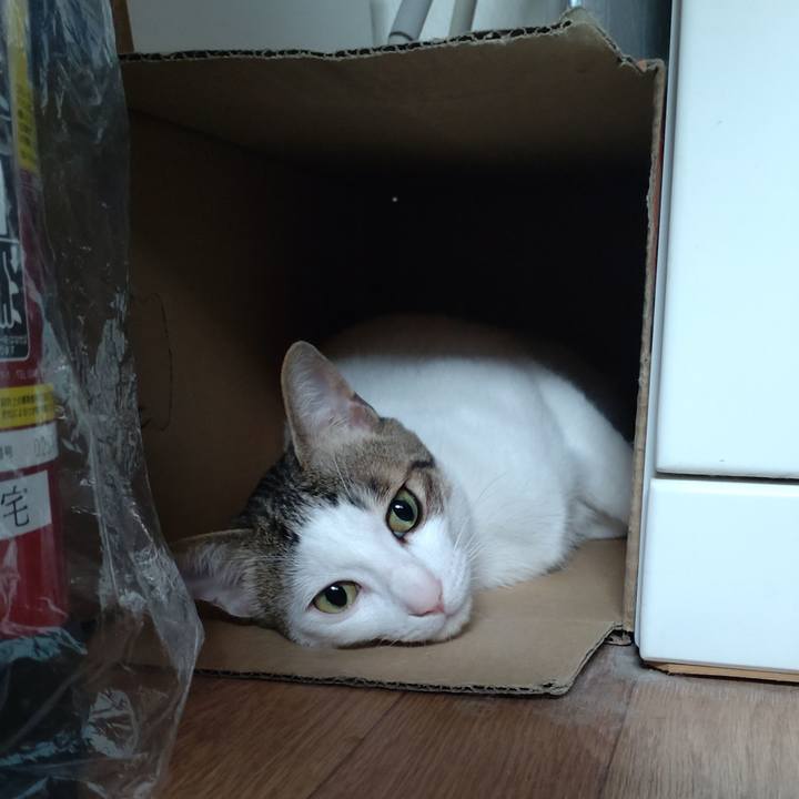 A68f154b 8146 4ec4 89fd dbb89377d1e8 1683159535410