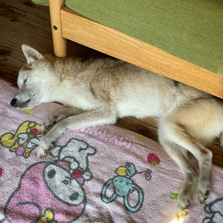 A68f5bdc ba59 4cb1 86f6 126ab6a3d6b5 1599282012935