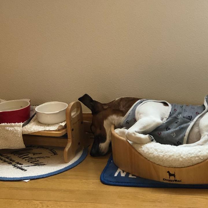 A68f66fe f5ac 49cc 9a07 f2ffa324fde8 1524609165466