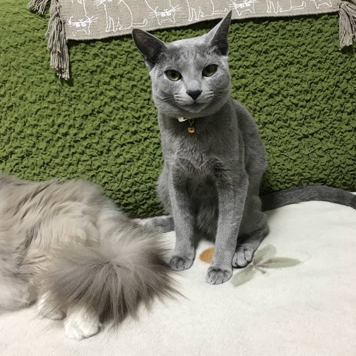 A68f8c8e ee45 4ea4 b289 1c63d7b2e238 1517309455719