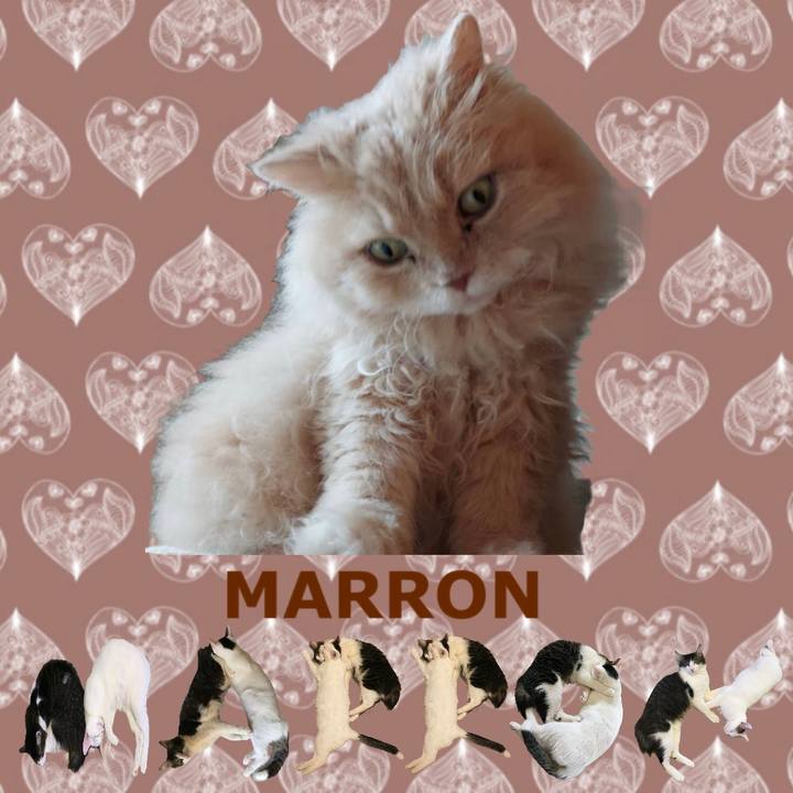 A68fba08 d8cb 4c5d a549 8d61b56b742b 1670912453801