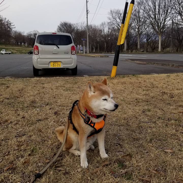 A68fbb44 e866 4518 88b4 911509e93f23 1712819200724