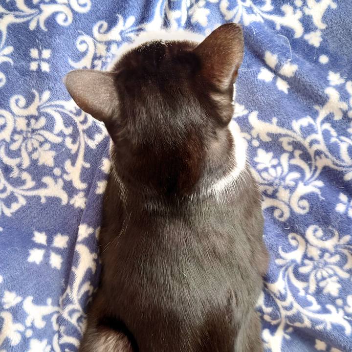 A68fc7d3 9716 404a 97fb 035a0bdbcb43 1646662024189