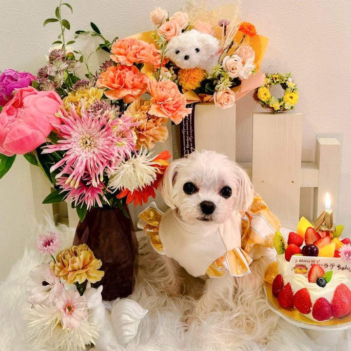 A6900786 1dd1 4c3b ab60 bd8085089332 1745828910476