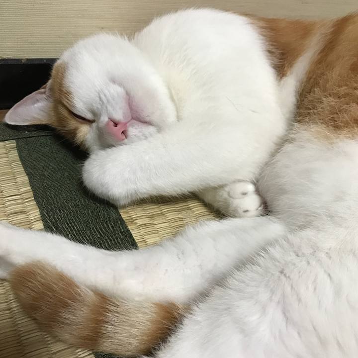 A6903ea6 4abf 4802 9a06 a046110227bf 1532869400690