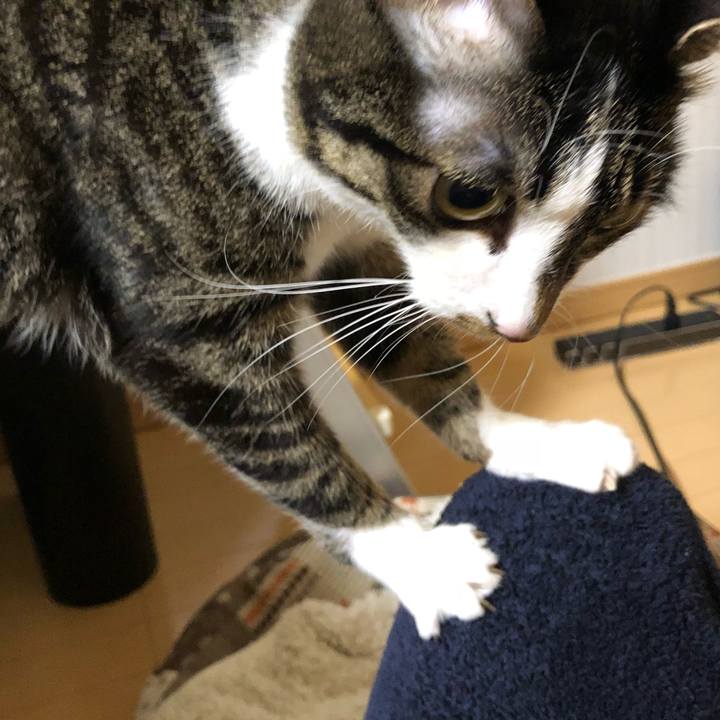 A6904a2a c1d9 4eeb b367 762dfd4b764c 1518413660094