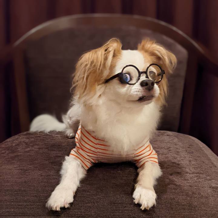 A690b367 904b 43e1 b608 e69991d78ab6 1663605005807