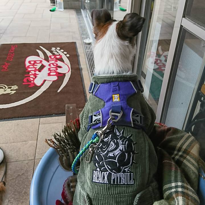 A690c3c7 9ad4 43d1 93c8 c2e444e5d82e 1614311183845