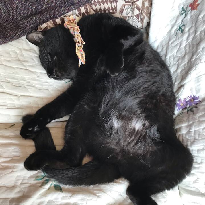 A690dfee 2456 4508 a414 eba0e095d580 1637361285297