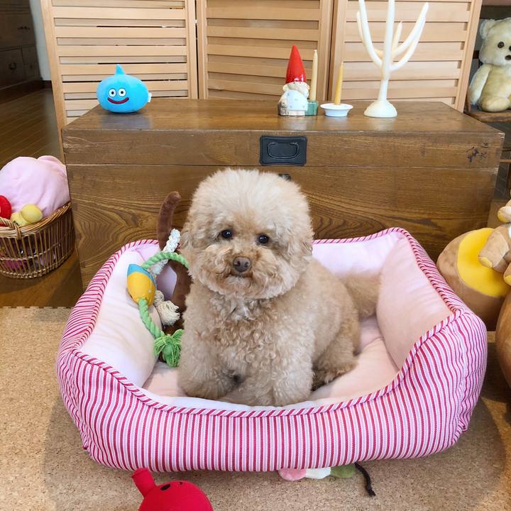 A690ff34 2f49 4a05 8b31 f4d41acce386 1512953950052