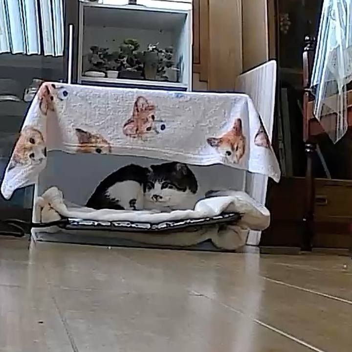 A6910e53 8a2d 44c2 8c32 e49c5f4dfe68 1761111324441