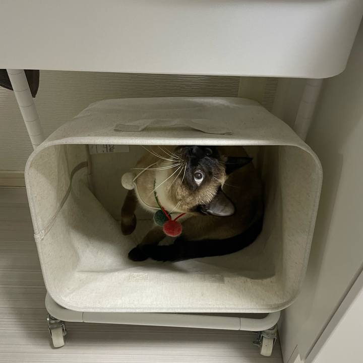 A69133e9 4d2b 4cee 9670 ab82f95de36b 1732653292342