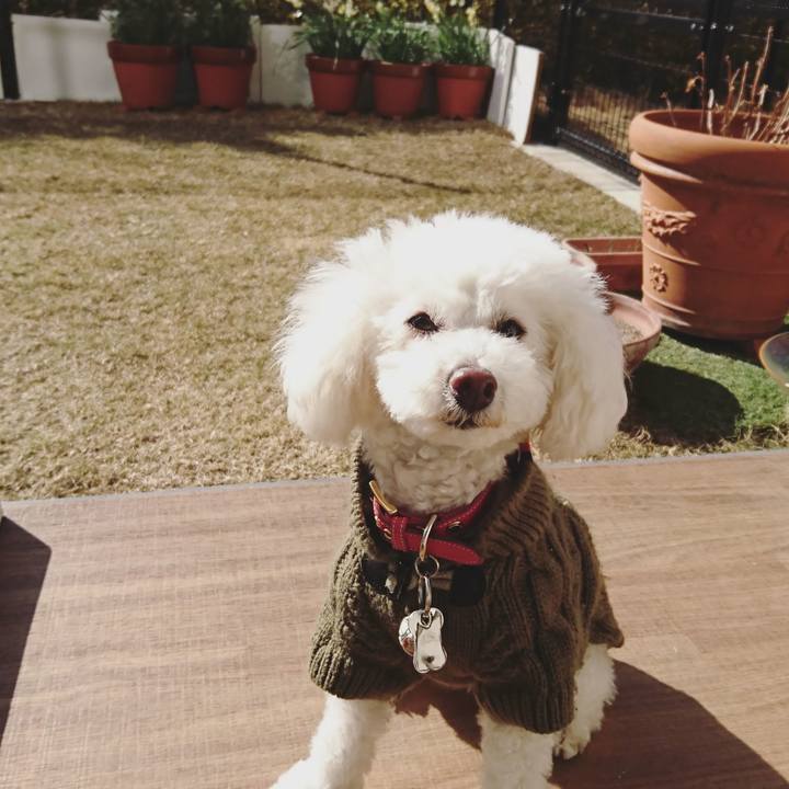 A691525b 237c 4c3d b0d6 ab1f3724d440 1548847102049